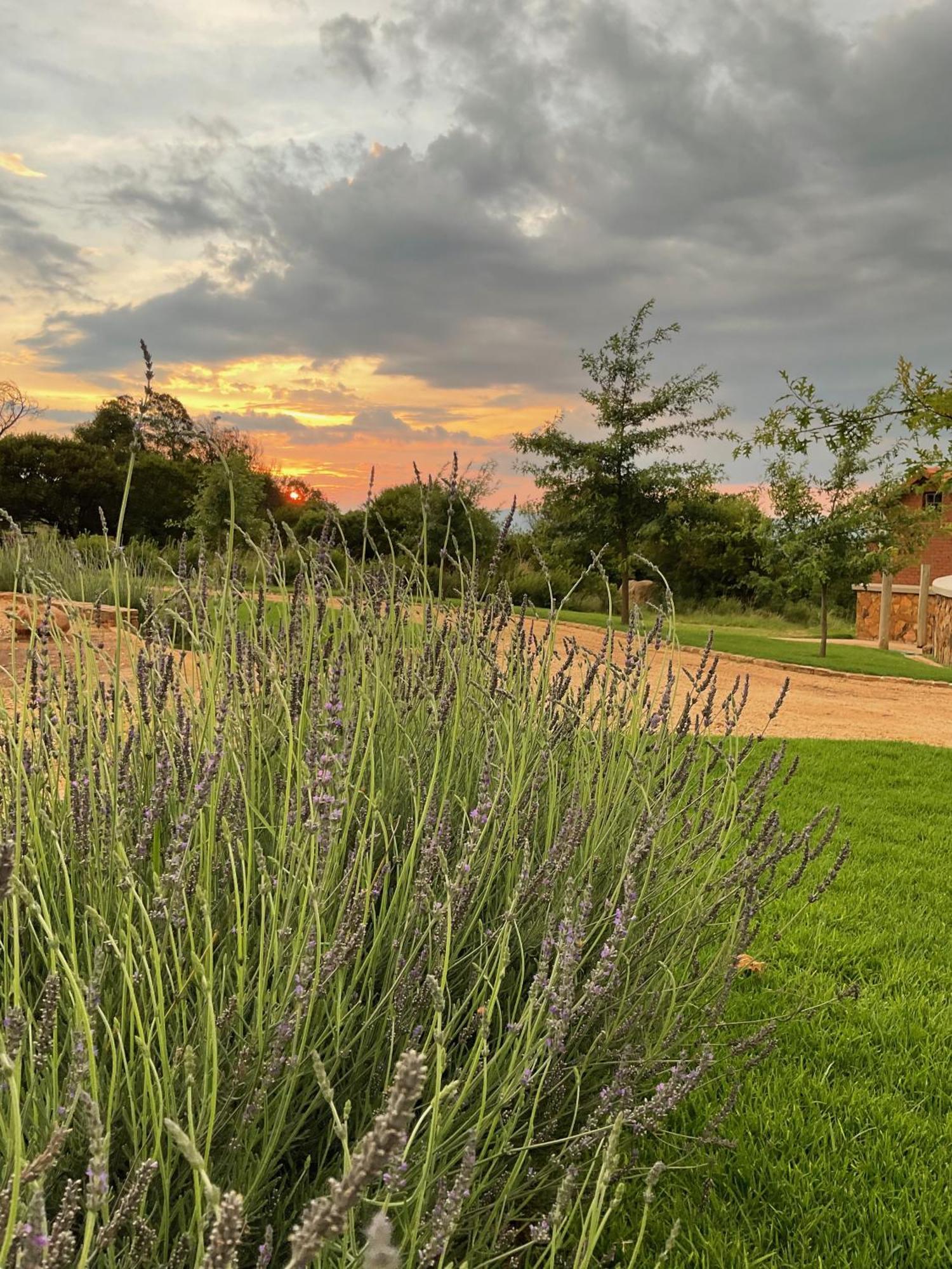 Mount High Luxury Country Estate Villa Lydenburg Ngoại thất bức ảnh